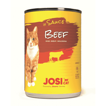 JosiCat Beef in Sauce