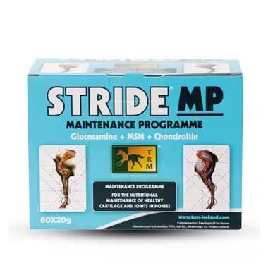 Stride MP