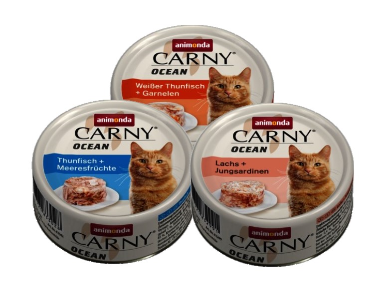 Carny Ocean Adult Cat