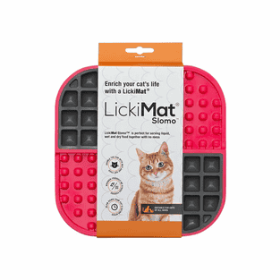 Slomo Cat