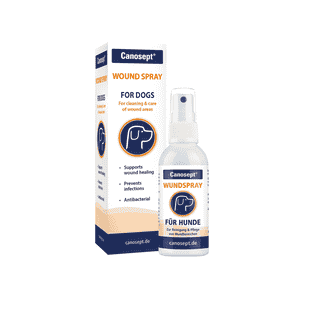 Spray pour plaies