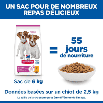 Puppy Small & Mini Breed