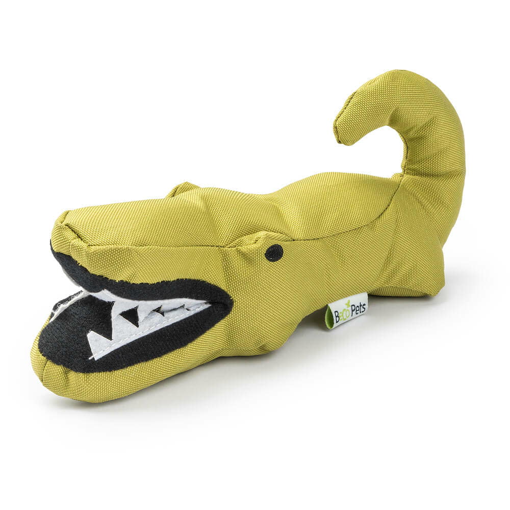 Aretha l'alligator