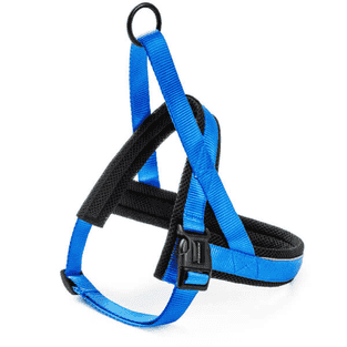 Harnais Nordic Basic bleu