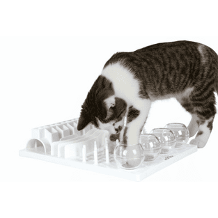 Cat Activity Fun Board