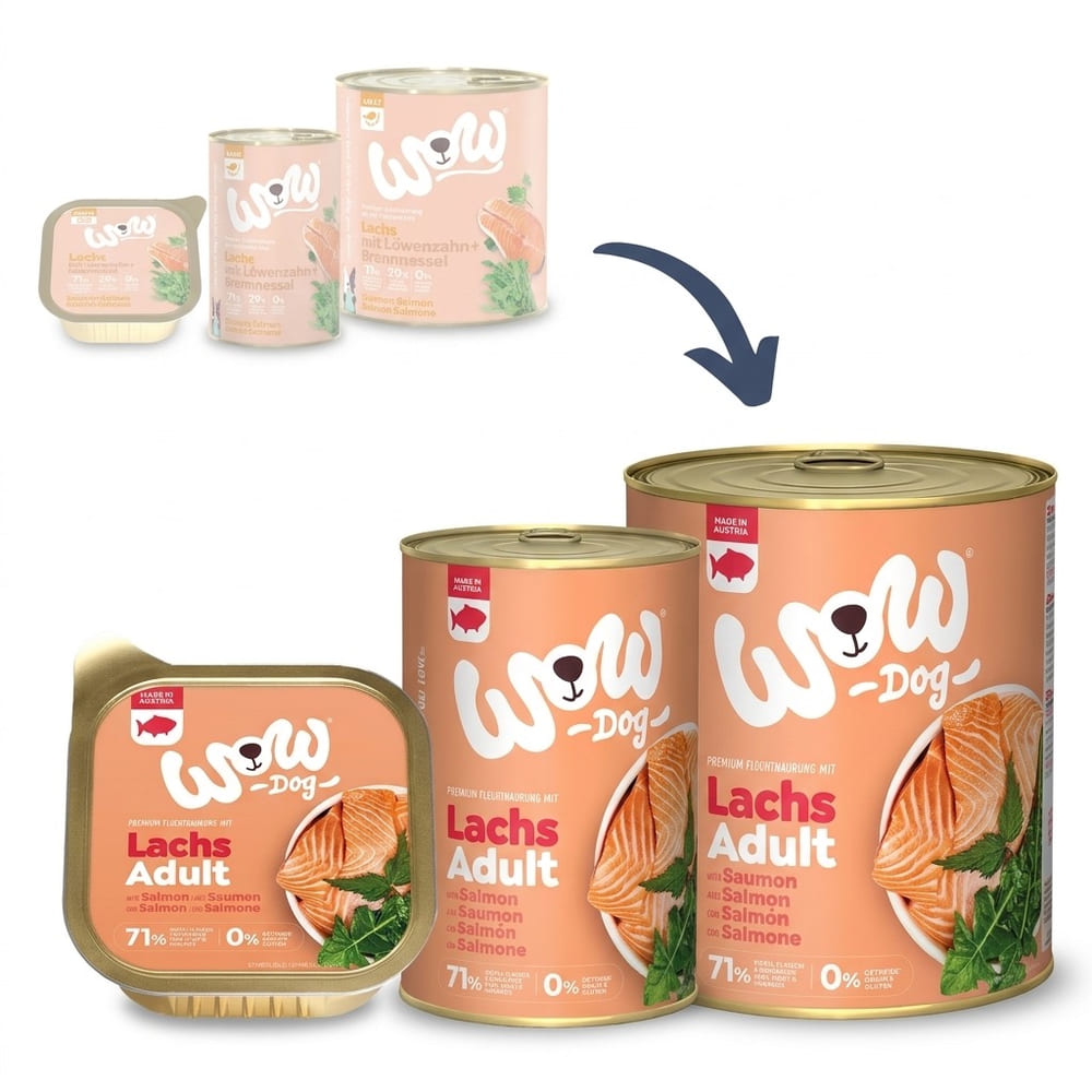 Adult, Saumon avec Pissenlit et Ortie