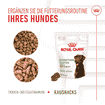 Digestion Chews Adult Supplements