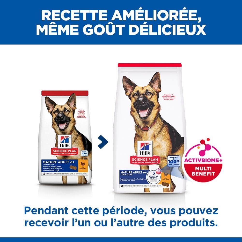 Canine Mature Adult 6+ Large Breed