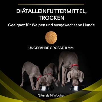 CANINE HP Hepatic