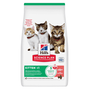 Kitten Salmon (ehemals Tuna)