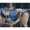 Riding Rug all Weather 160 g