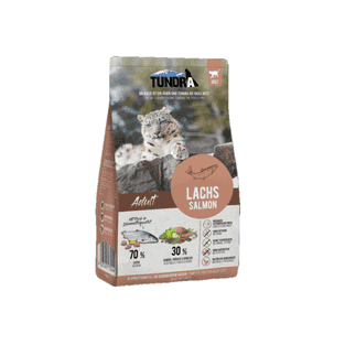 Cat Adult Salmon