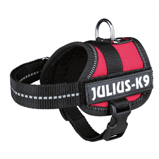 Julius-K9® Powerharness Baby 1