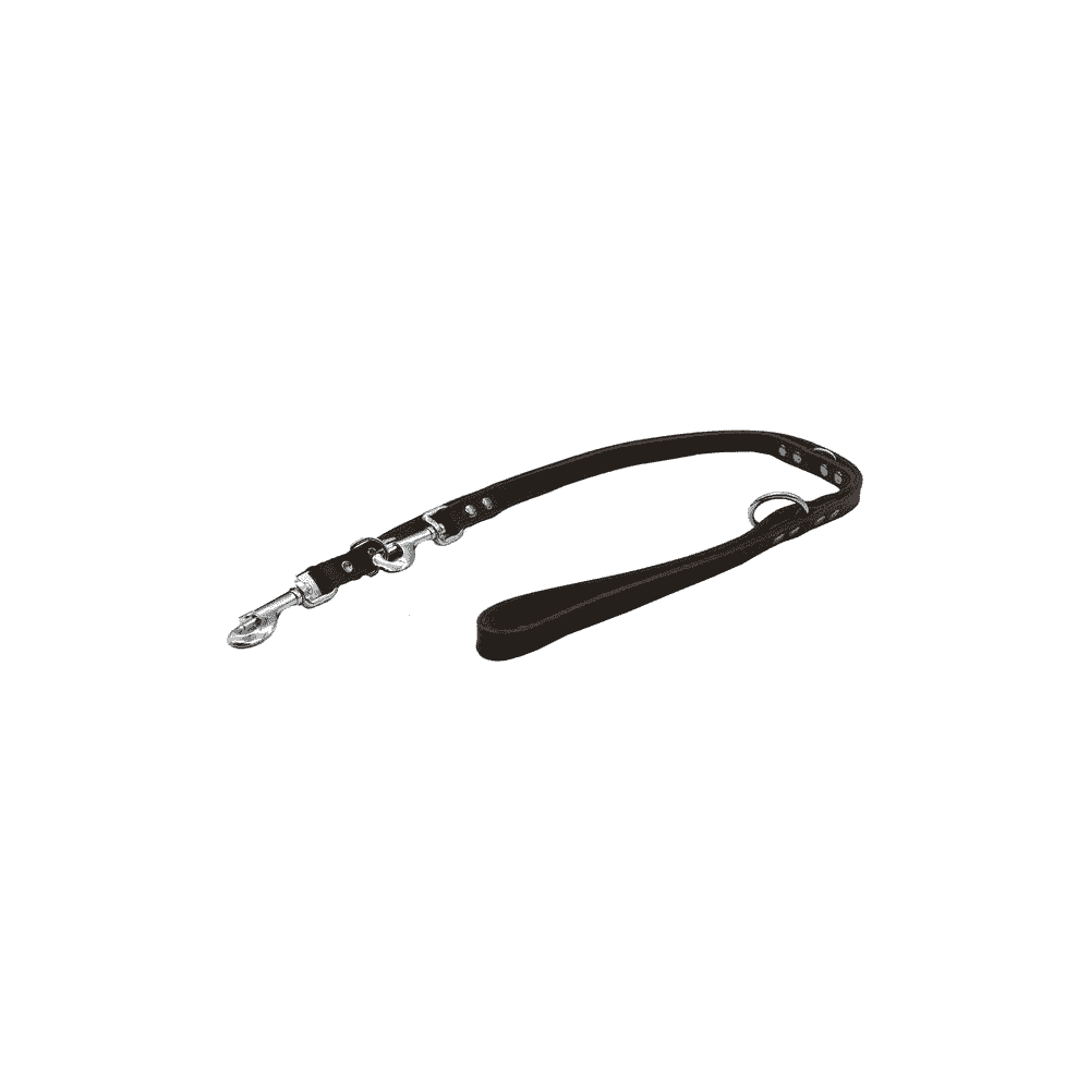 Soft leather leashes riveted with decorative stitching, brown
