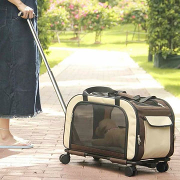 Move transport trolley