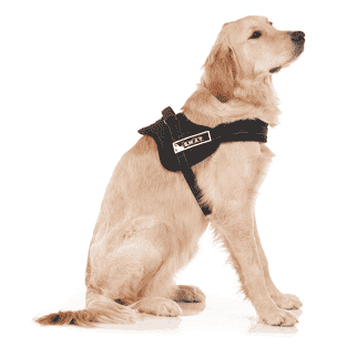 S.W.A.T Geschirr für Hunde