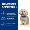 Canine z/d Food Sensitivities Mini