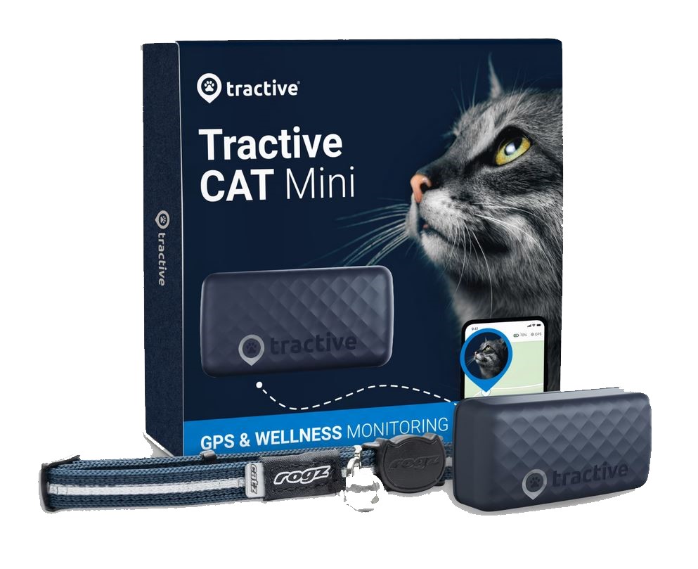 GPS Tracker für Katzen