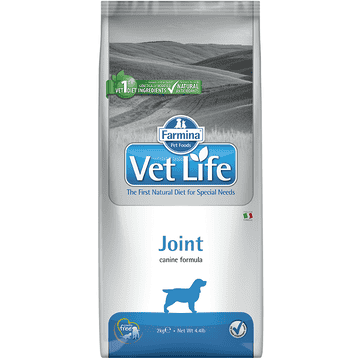 Canine Joint