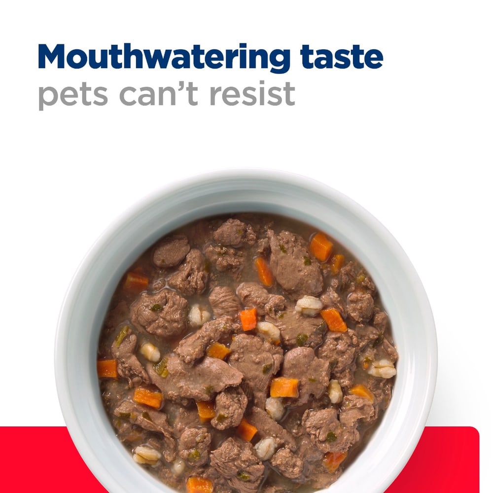 Feline Gastrointestinal Biome Stress Chicken Stew - Can