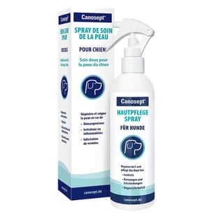 Spray de soin de la peau pour chiens