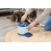 Dog Activity Memory Trainer 3.0
