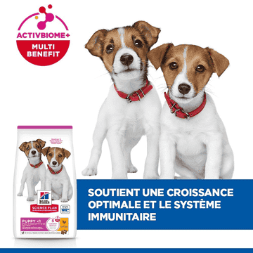 Puppy Small & Mini Breed