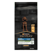 LARGE ATHLETIC PUPPY Healty Start
