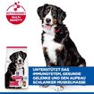 Canine Adult Large Breed Lamb & Rice