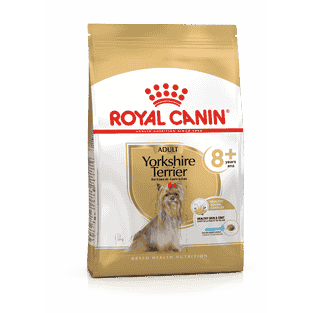 Yorkshire Terrier 8+