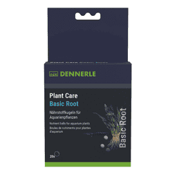 Plant Care Basic Root
