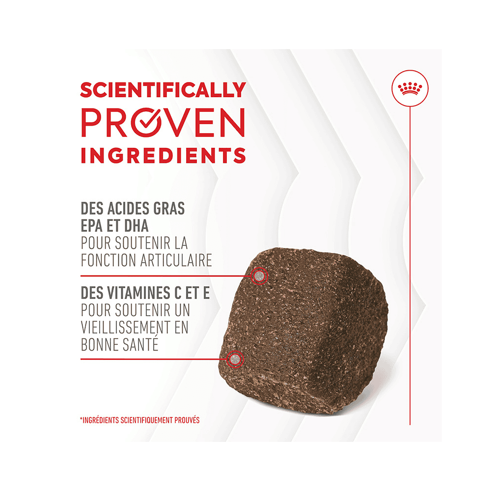 Joint & Ageing Chews Adult Supplements