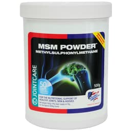 MSM Powder