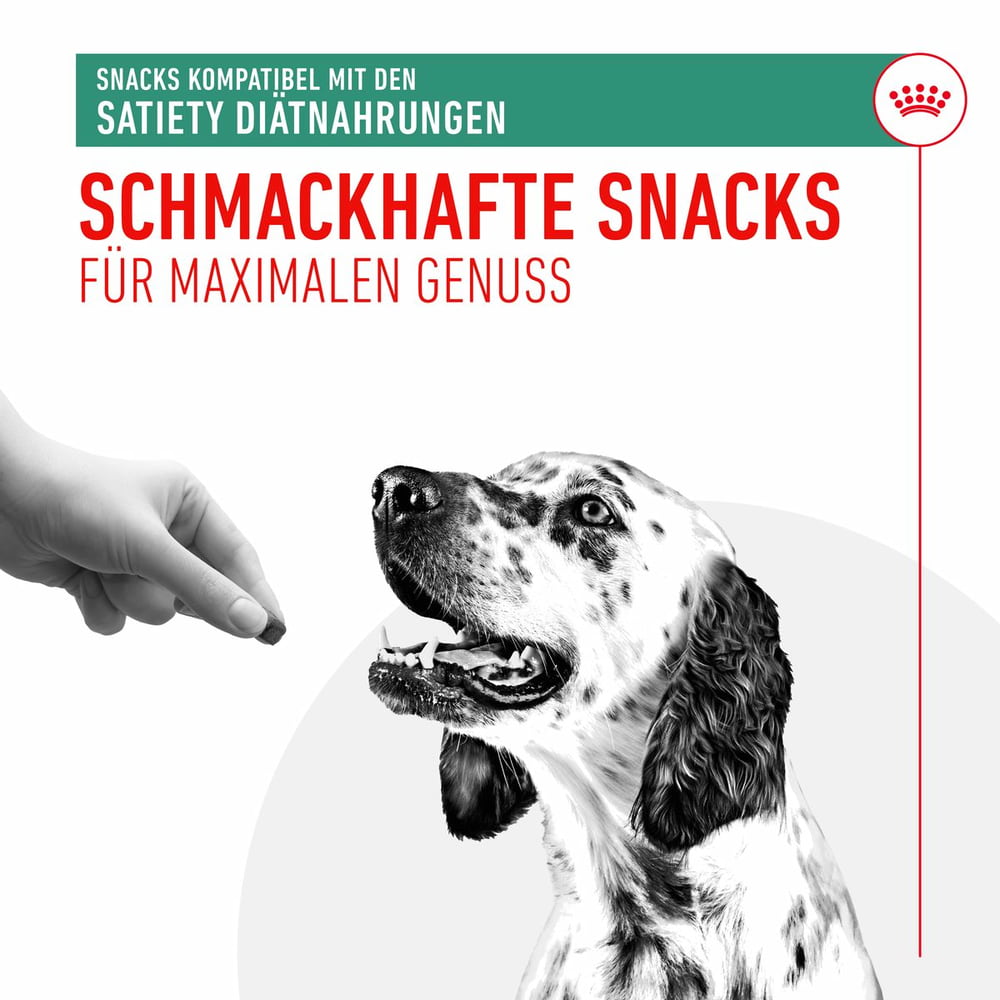 Satiety Snacks