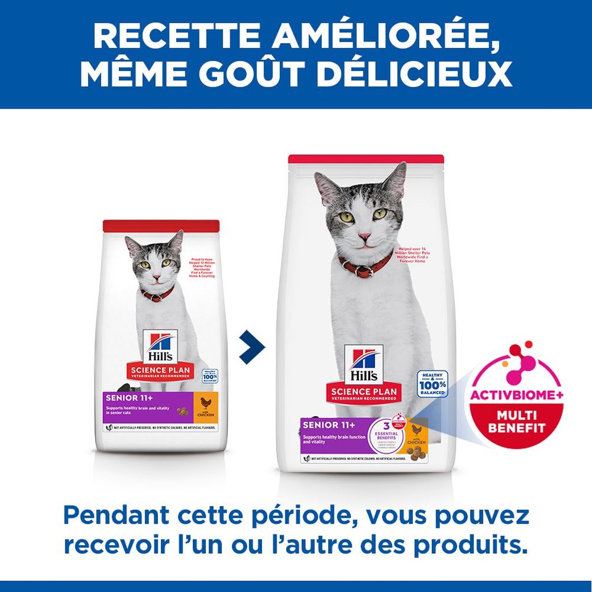 Feline Senior 11+
