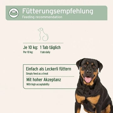 AgilityVET Tabs