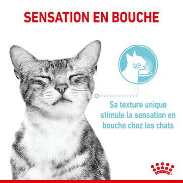 SENSORY SMELL, TASTE, FEEL en Sauce, Sachets