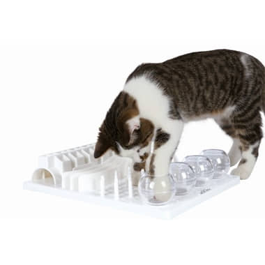 Cat Activity Fun Board
