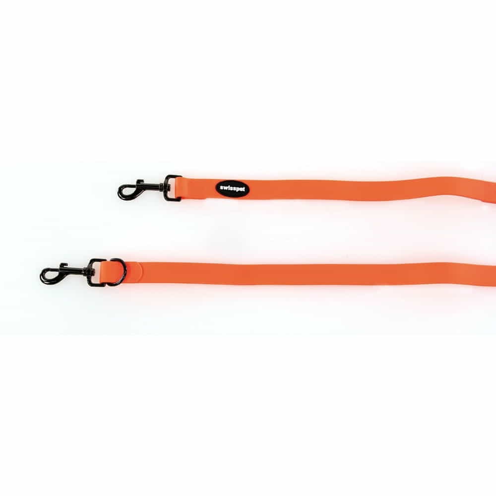 NEON leashes, orange M