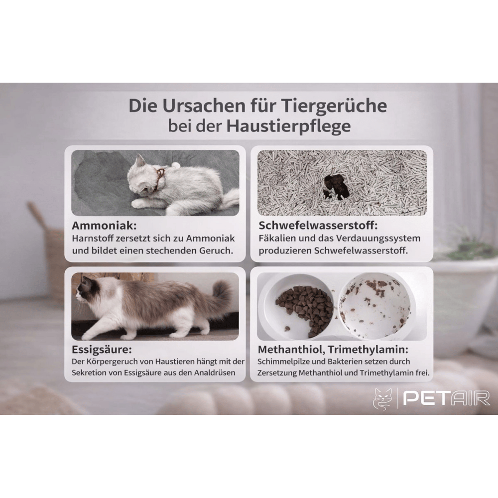 Air Purifier for Pet Owners MP1-P