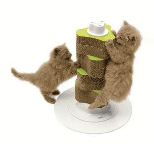 Senses 2.0 Scratcher