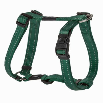 Harnais pour chien Utility vert