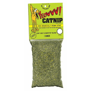 Catnip (Katzenminze)