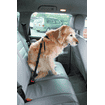 Sicherheitsgeschirr DogSafe für Hunde