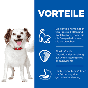 Canine Small & Mini Breed Beef - Dose