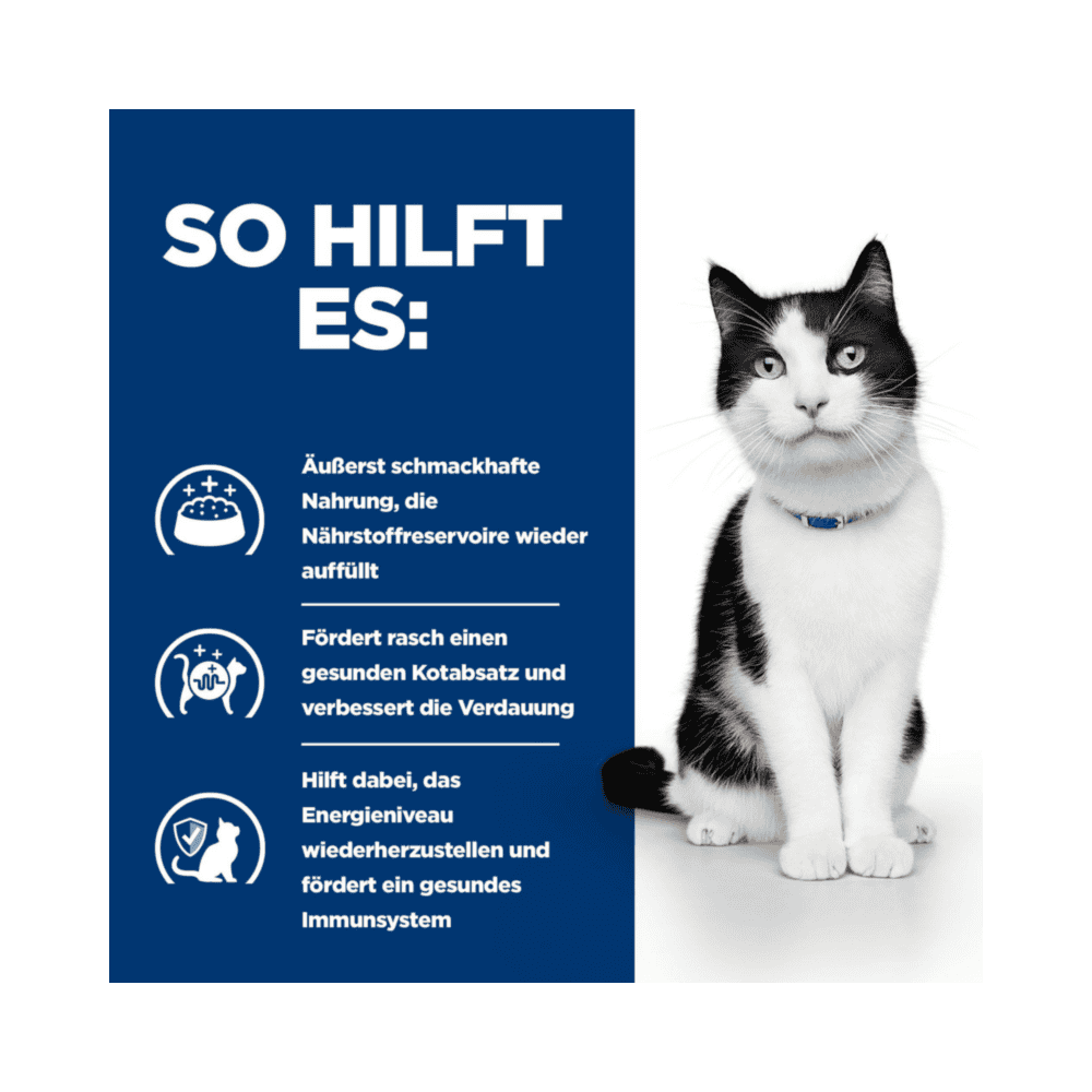 Feline i/d Digestive Care - Boîte