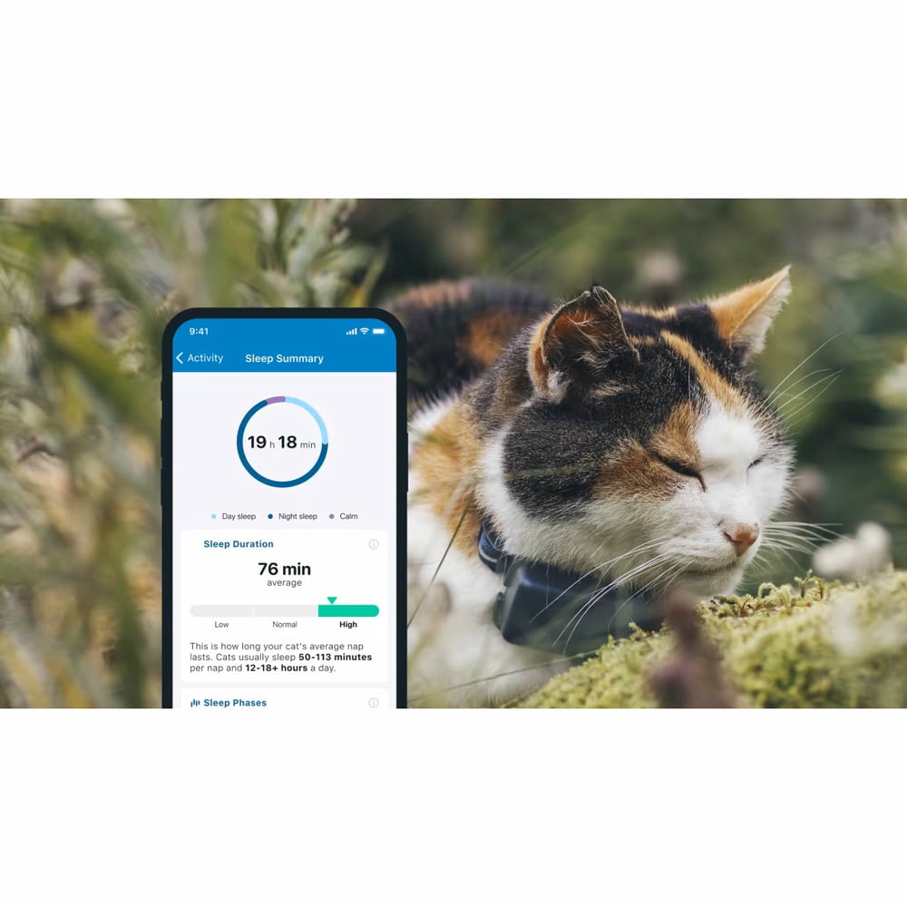 GPS Tracker für Katzen