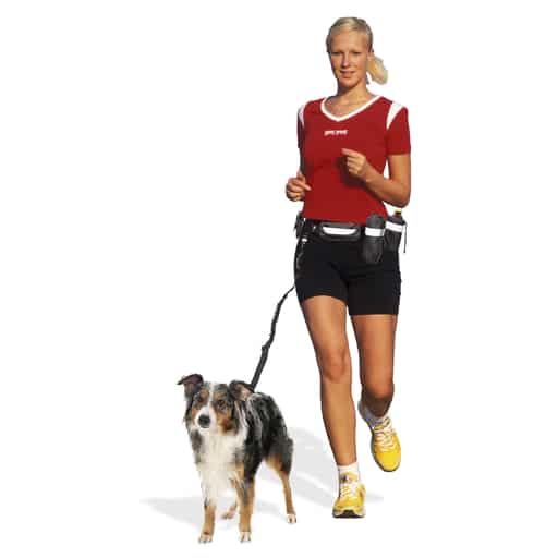 swisspet Jogging Leinen Set Plus, mit Tasche für Smartphone, L = 100 - 160 cm, B = 40mm, schwarz
