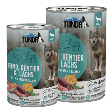 Dog Rind, Rentier & Lachs - Dose