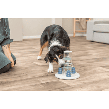 Dog Activity Gambling Tower
